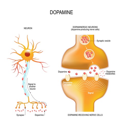 Research On The Link Between Mold and Parkinson's Disease!